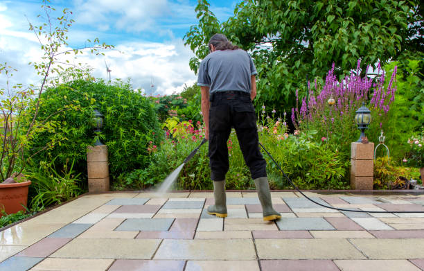 Best Driveway Cleaning and Restoration in Blakely, GA